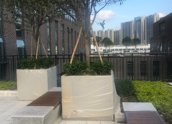 户外物业小区大型不锈钢树池主图