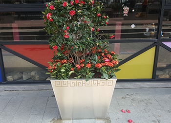 户外方形组合式不锈钢花箱主图