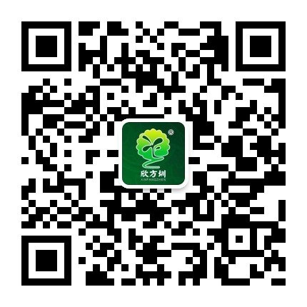 欣方圳正式开通官方微信