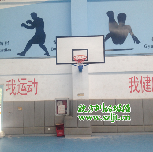 实验承翰学校采购欣方圳挂壁式篮球架